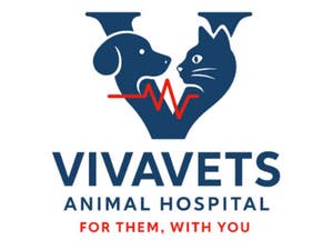 VivaVets Animal Hospital