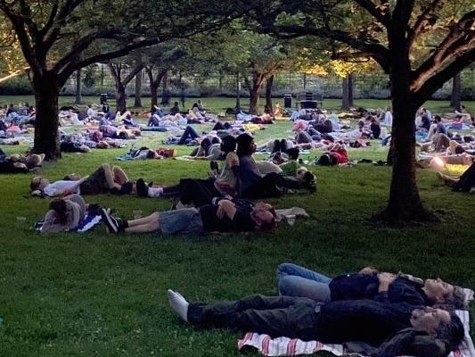 Why 3,000 People Are Lying Quietly On The Lawn At Brooklyn Botanical Garden