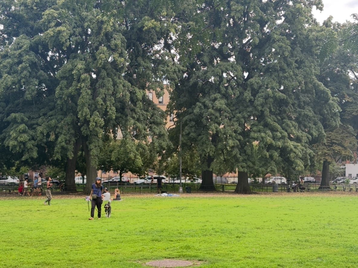 The Herbert Von King Park dog run in Bed-Stuy is closed after soil tests found elevated levels of arsenic and mercury.
