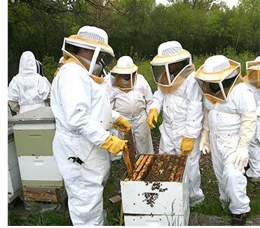 Register for Bee School by Essex County Beekeepers Assn