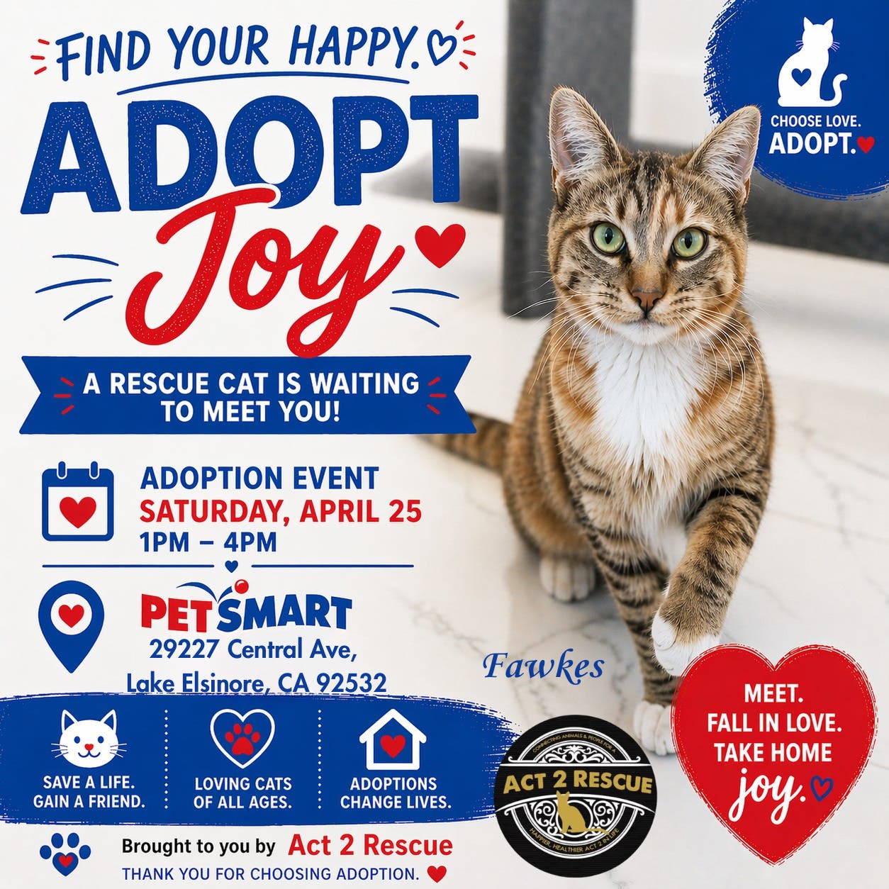 Adopt Joy Cat Adoption Event With PetSmart and Act 2 Rescue 
