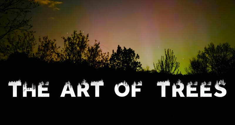 NatureTrack Film Festival presents The Art of Trees - Free Film Screening