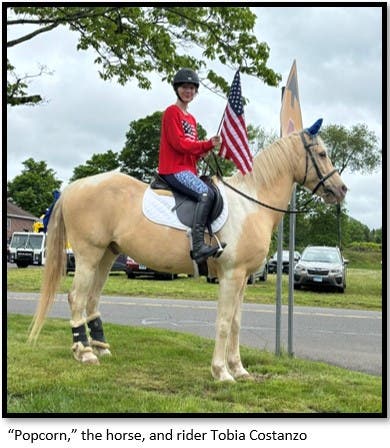 Popcorn the Horse