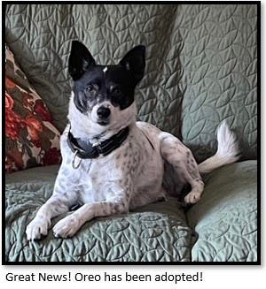 Oreo Adopted!