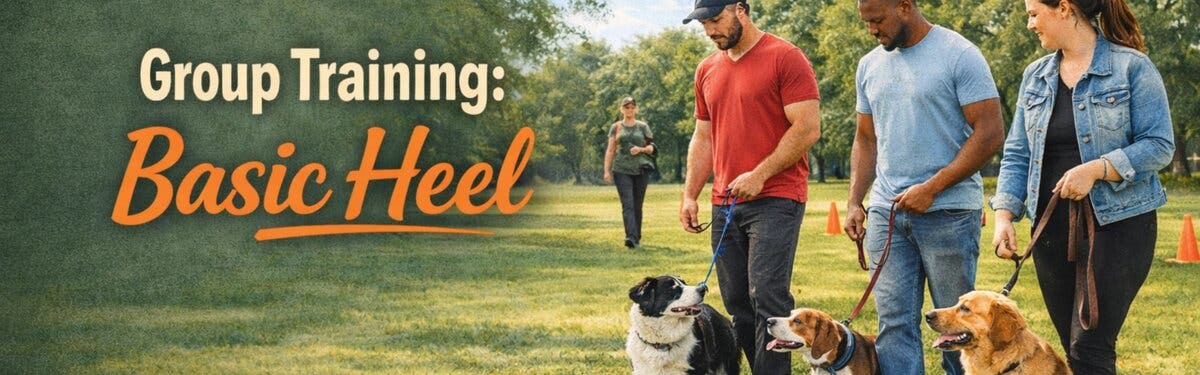 Basic Heel Group Dog Training Class