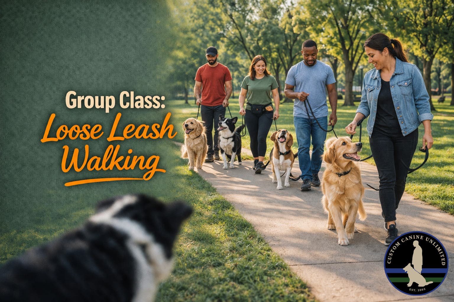 Group Training: Loose Leash Walking | Gainesville