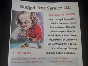 Budget Tree service LLC