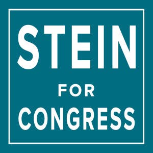 Meet the Candidate....Stein for Congress!