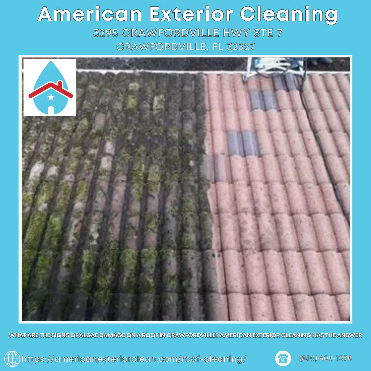 What Are the Signs of Algae Damage on a Roof in Crawfordville? American Exterior Cleaning Has the An