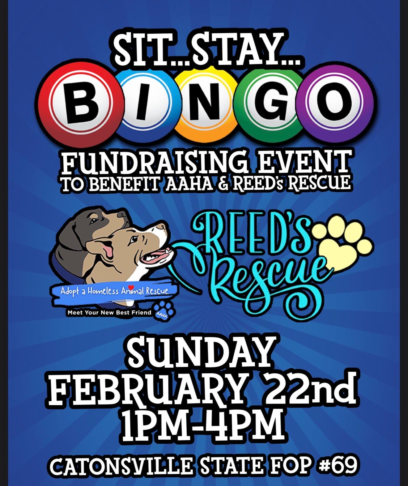 Sit, Stay, Bingo!