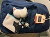 This new Jansport backpack with some cat related items will be displayed at the PAWS booth.  Come by to check it out and win it.