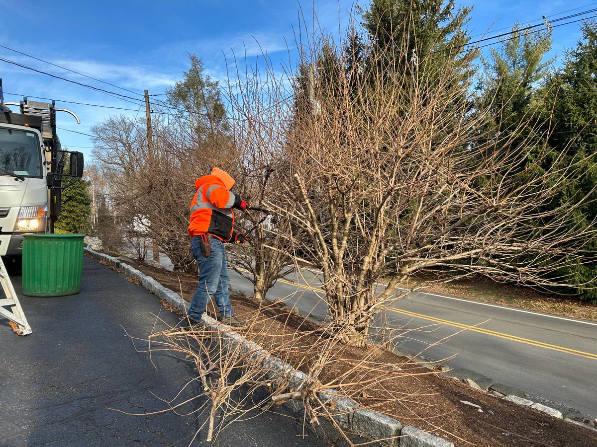  N.joel Landscaping LLC 