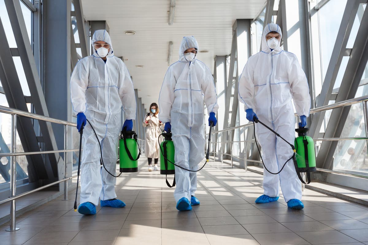Green Guard Mold Remediation NYC