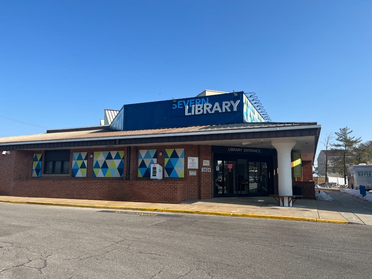 Seven couples were married on Valentine's Day at across three different Anne Arundel Co. libraries.