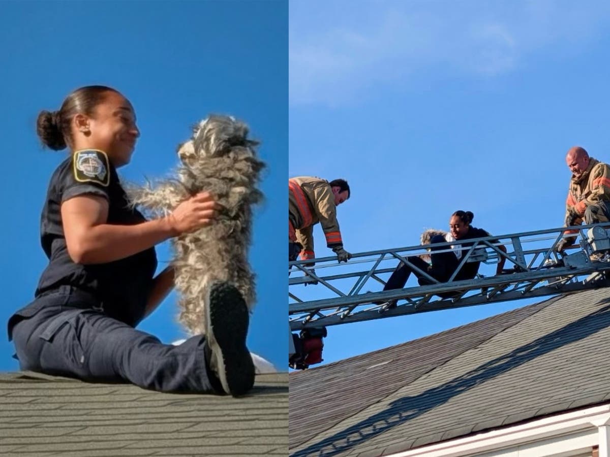 Baltimore County Officer A. Flores is pictured rescuing a dog off the rooftop of a Dundalk townhouse.