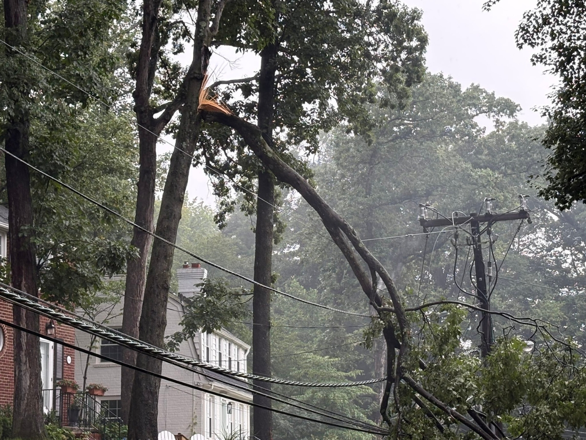 Downed trees knocked out power for Bethesda residents on Sunday after severe storms lashed the area.