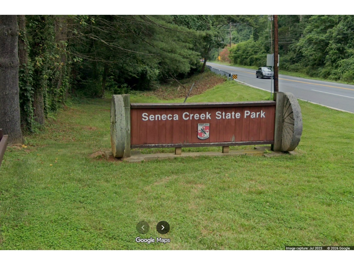 A rabid beaver was found dead at Seneca Creek State Park on Monday, but officials remain unsure if it's the same beaver involved in a recent attack.