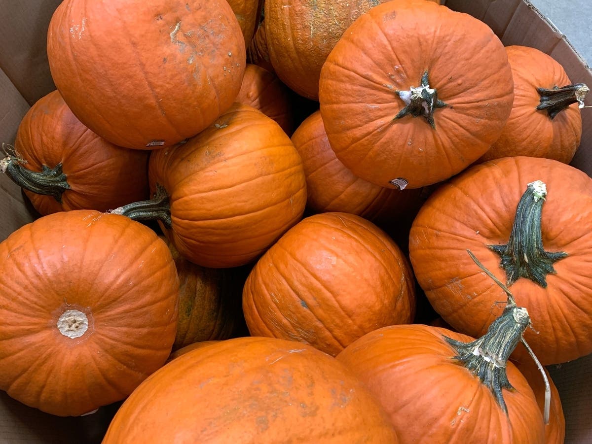 'Great Pumpkin Smash' Returns To Baltimore County This Year