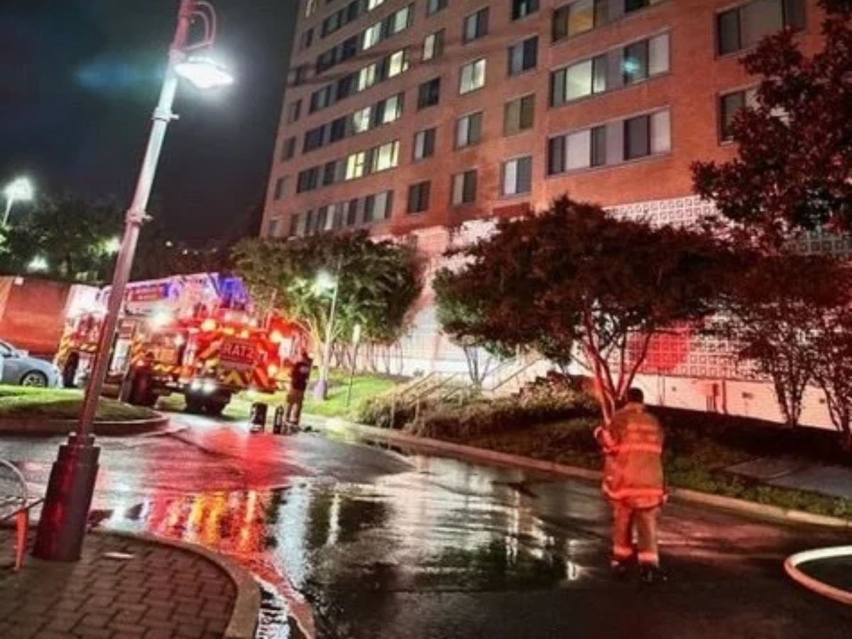 Officials said that an apartment fire killed one cat and left a woman hospitalized with burn injuries.