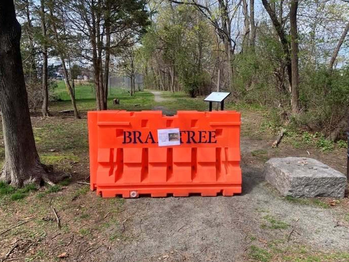 A family of coyotes has made a den in parkland off Glenrose Avenue in Braintree.