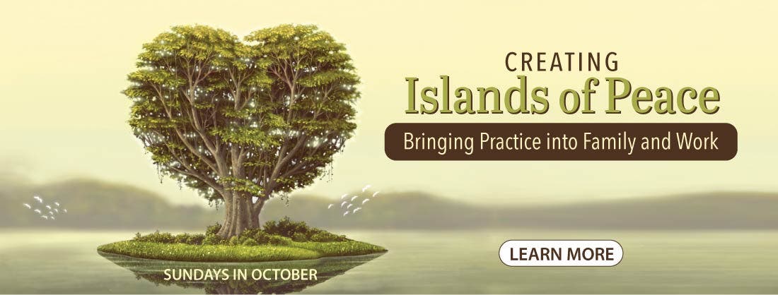  Creating Islands of Peace Through Meditation