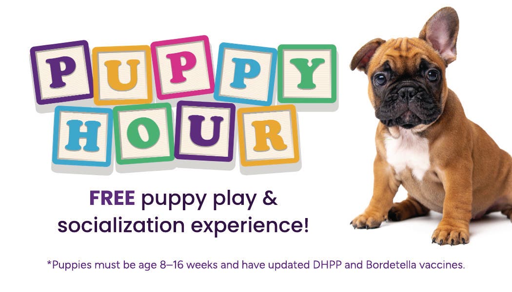 Puppy Hour - October 14