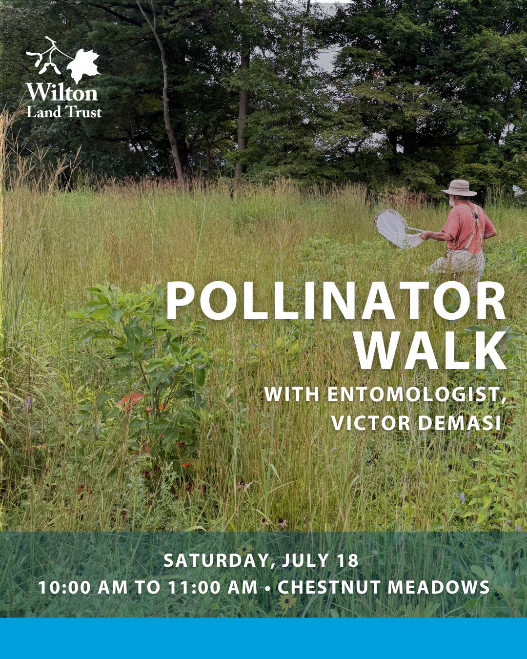 Pollinator Walk with Victor DeMasi and Wilton Land Trust