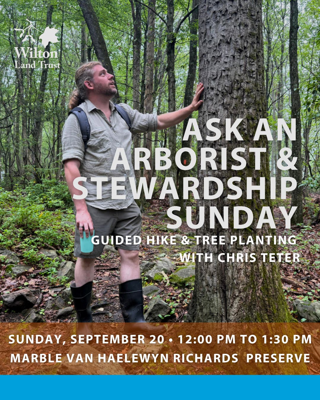 Stewardship Sunday x Ask an Arborist with Wilton Land Trust