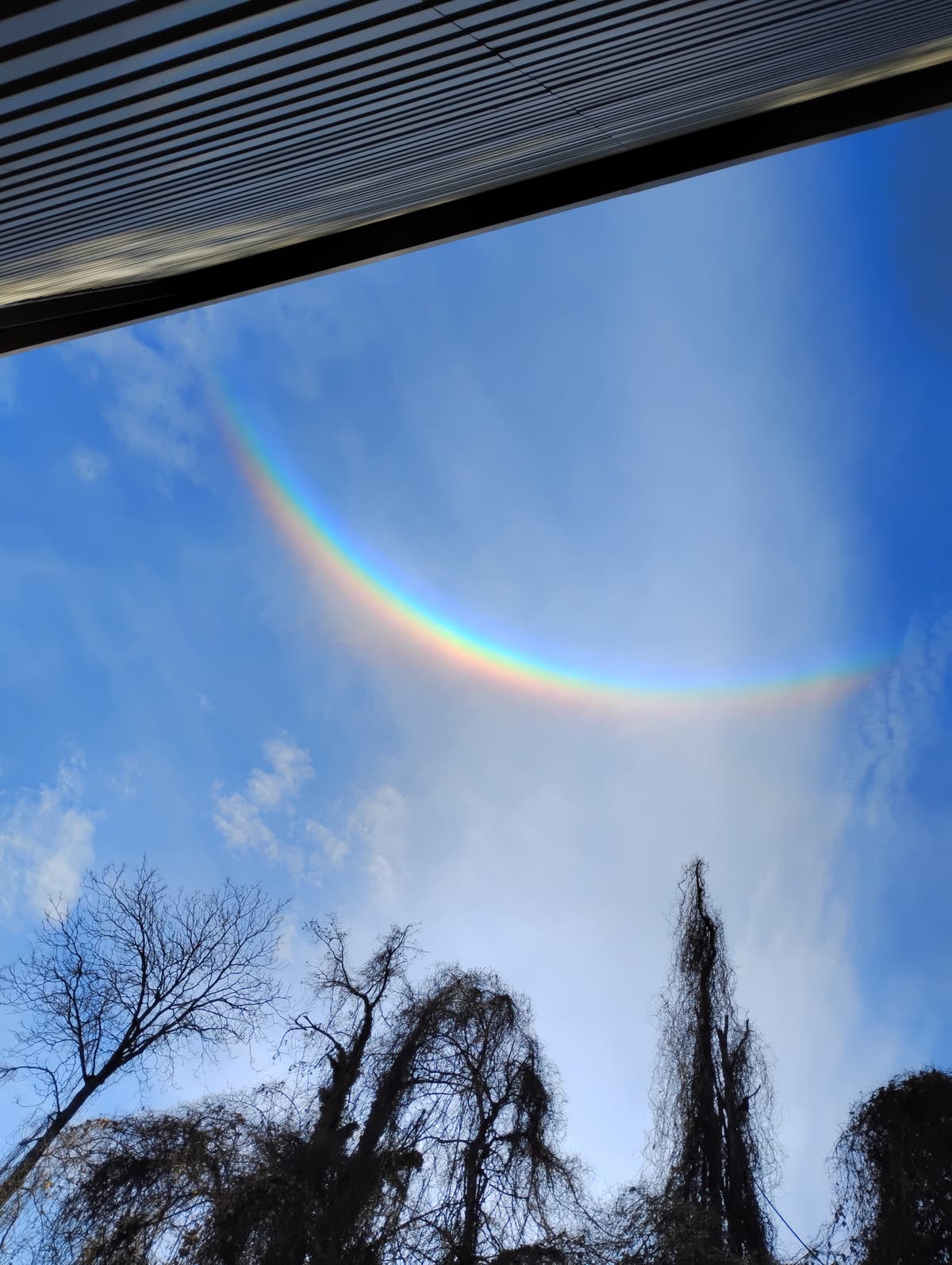 Professional problem solver 