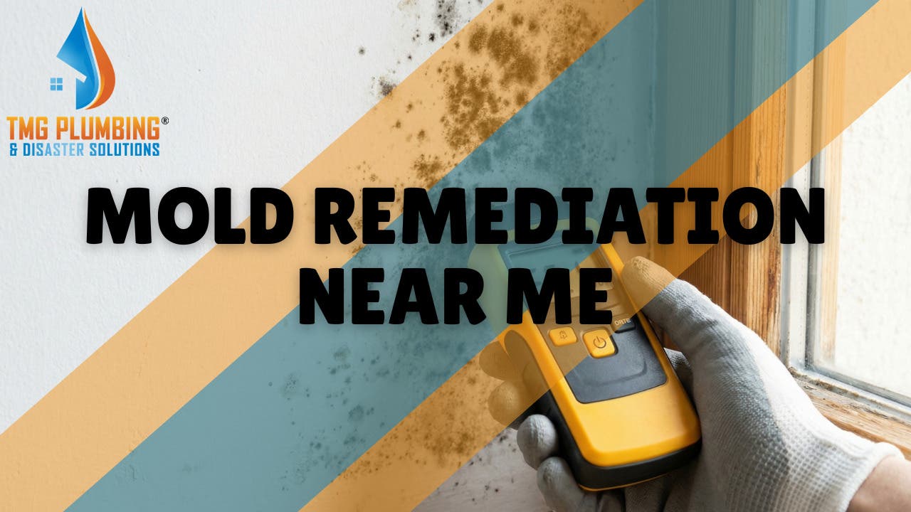 Professional Mold Remediation Services in Mystic, CT