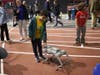 Demonstrations of two robotic dogs, like this one, by NIU engineering students were a big hit. These AI-assisted machines, used via CEET's mechatronics program, are research platforms for potential applications, such as helping people with sensory issues.