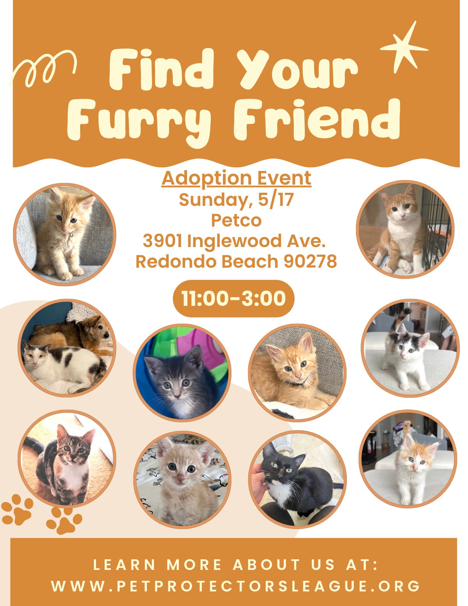 Come meet your new best friend!
