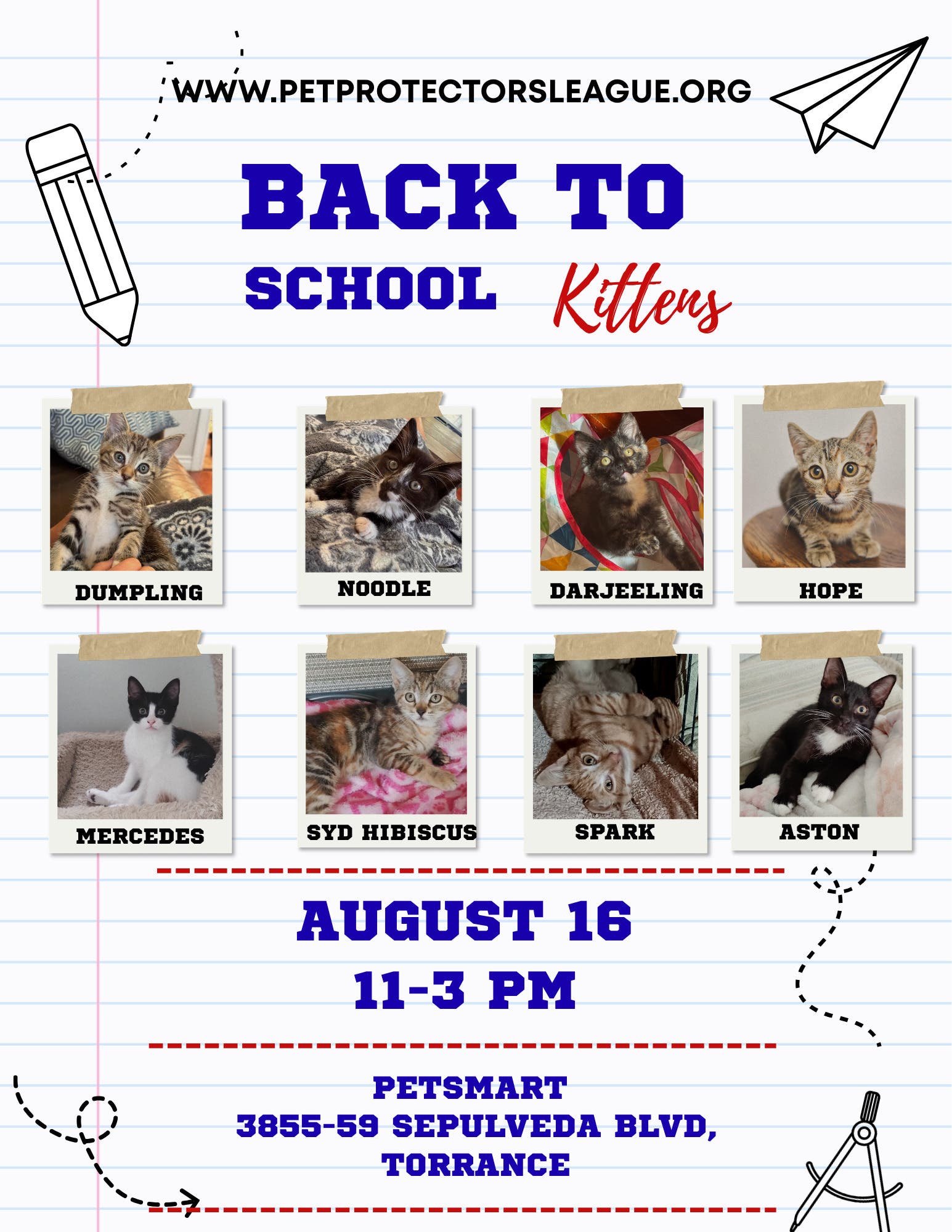 Kitty adoption this Sunday!