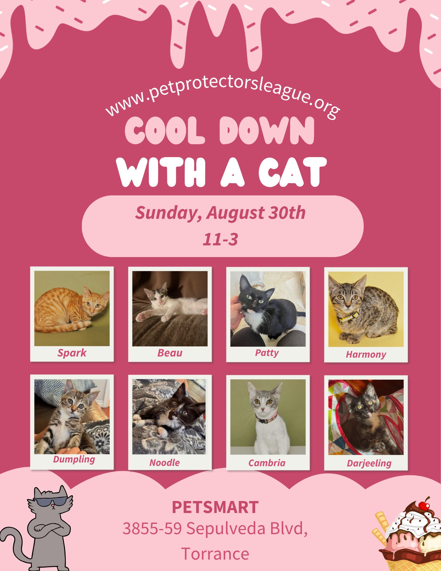 Kitty adoption this Sunday!