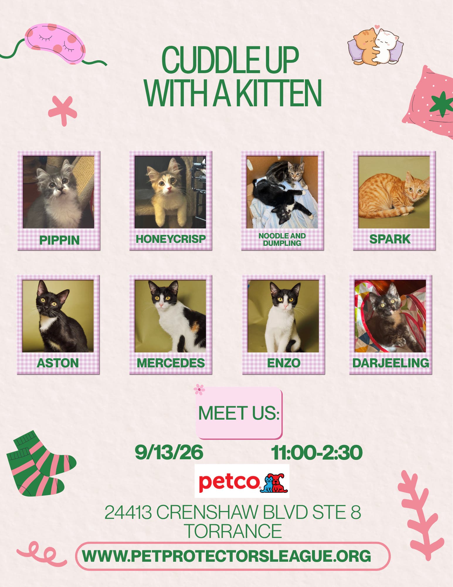 Find your cuddle buddy at our next adoption event