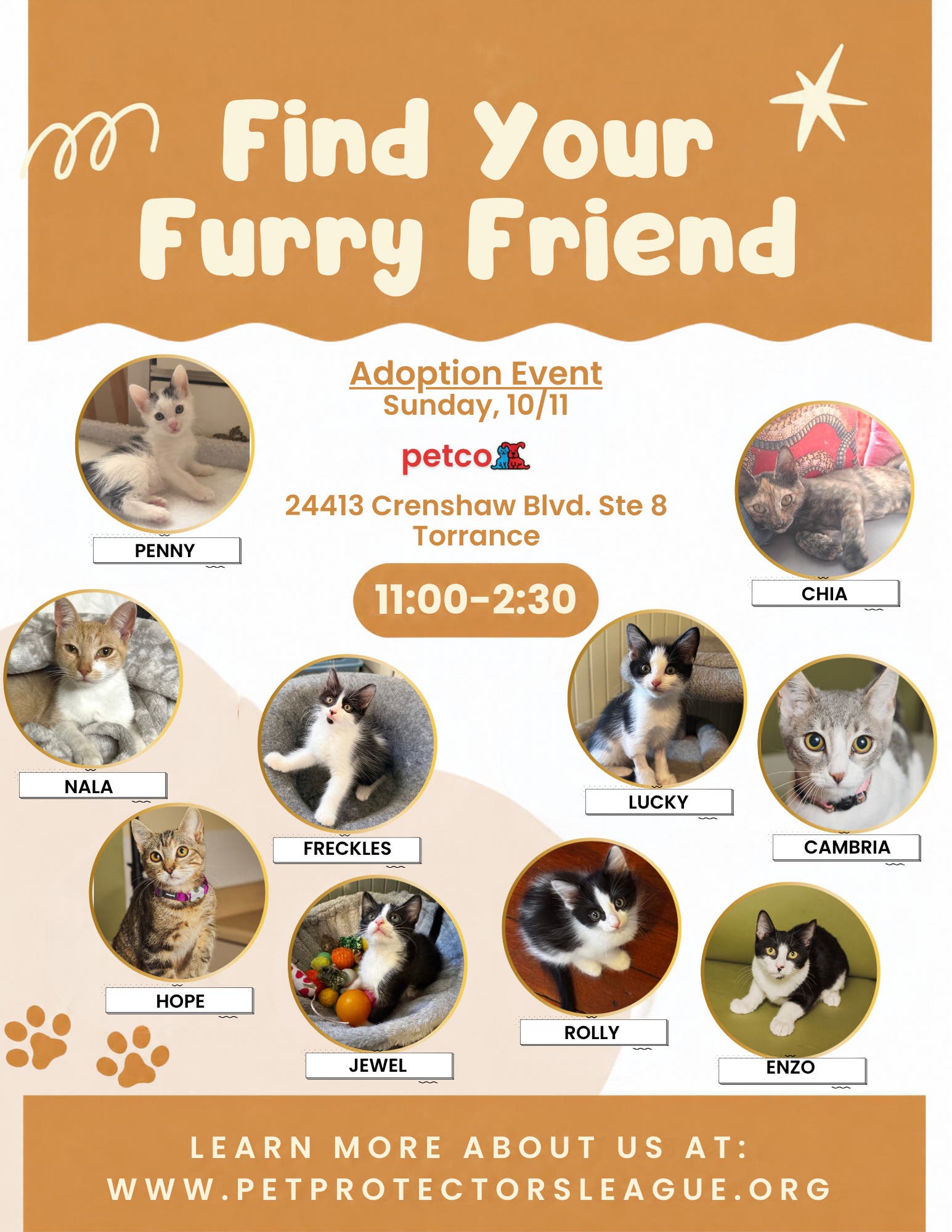 Kitty adoption this Sunday!