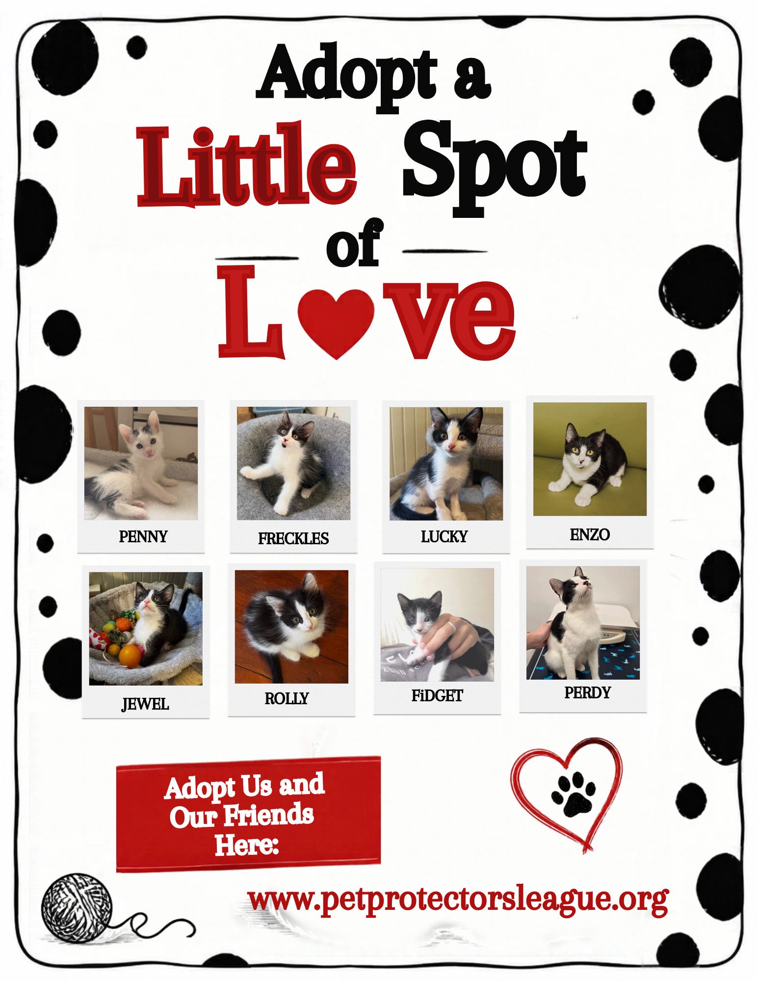 Kitties, Kitties, and more Kitties!