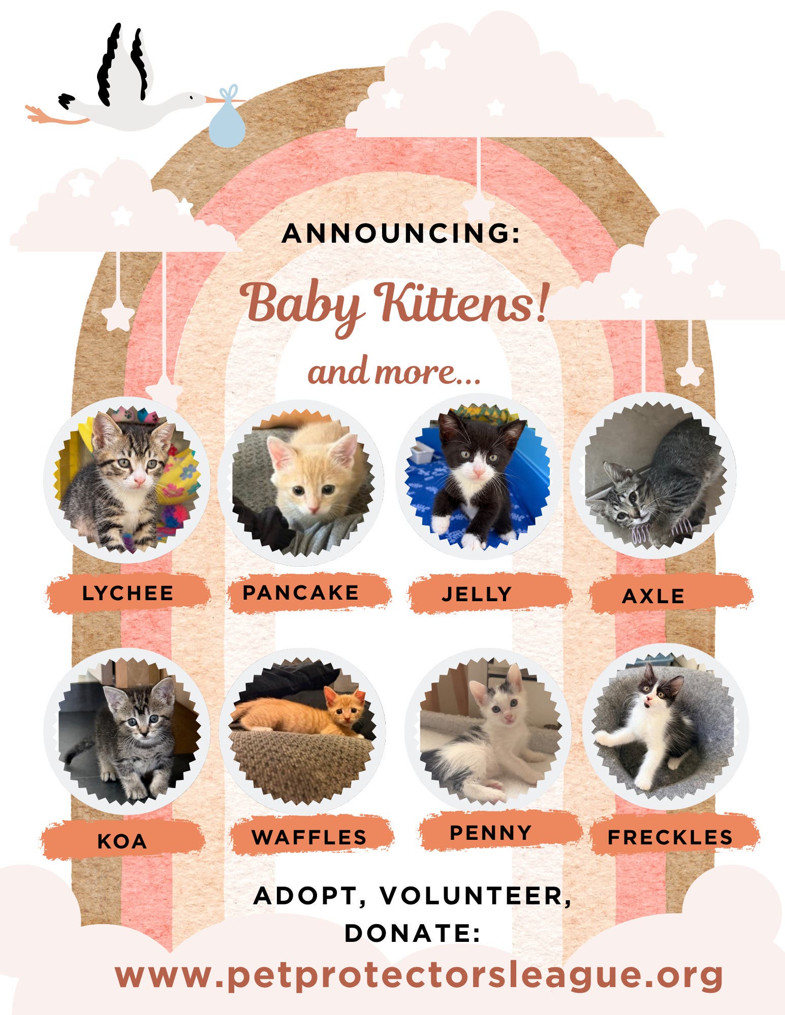 Little Kittens, Big Love—Meet Your Match 💙