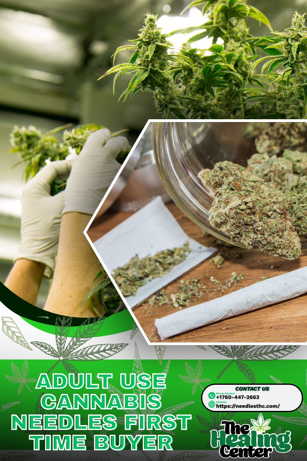 Adult Use Cannabis Needles First Time Buyer Guide: What to Expect on Your First Visit