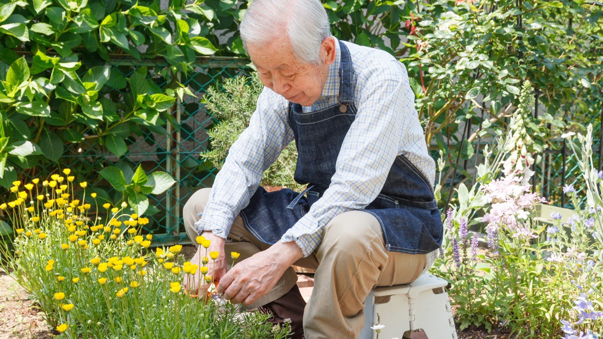 Gardening in Comfort