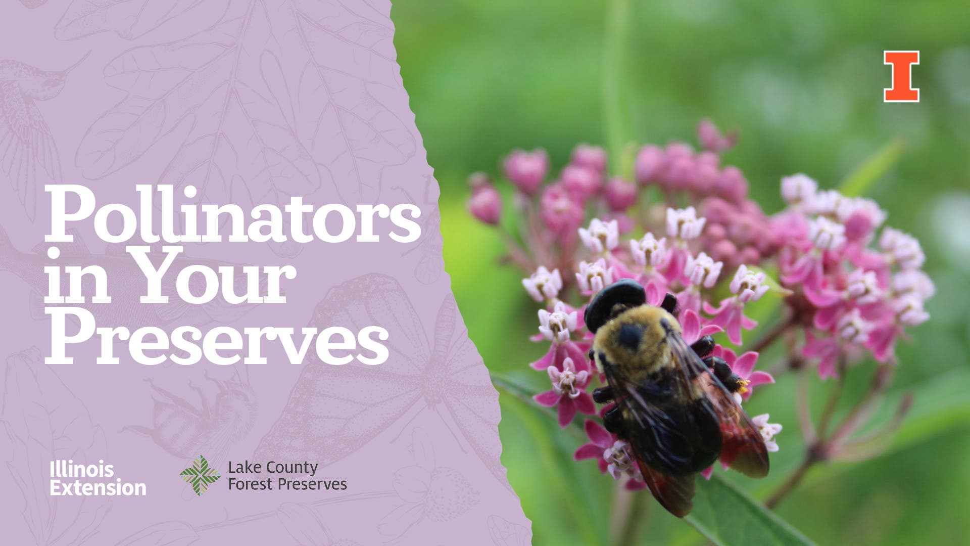 Pollinators in Your Preserves 