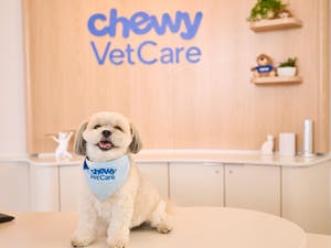 Chewy Vet Care