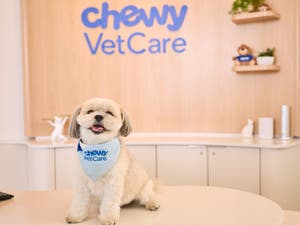 Chewy Vet Care, The Triangle 