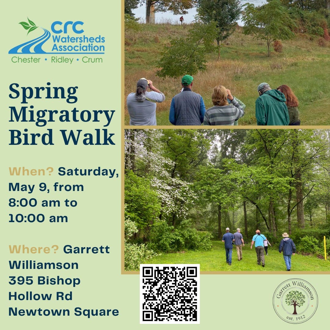 Free 𝗦𝗽𝗿𝗶𝗻𝗴 𝗠𝗶𝗴𝗿𝗮𝘁𝗼𝗿𝘆 𝗕𝗶𝗿𝗱 𝗪𝗮𝗹𝗸 𝗼𝗻 𝗠𝗮𝘆 𝟵𝘁𝗵