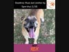 INSTAGRAM IMAGE DOGS - 9