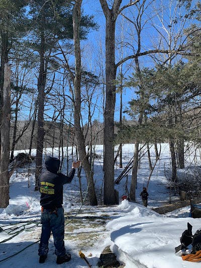 How JRL Tree Services Construction Helps Raymond, NH Homeowners Stay Safe