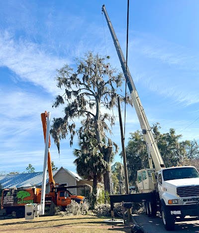 Why More Lake City Homeowners Are Choosing Gateway Tree Service for Safe, Reliable Tree Care