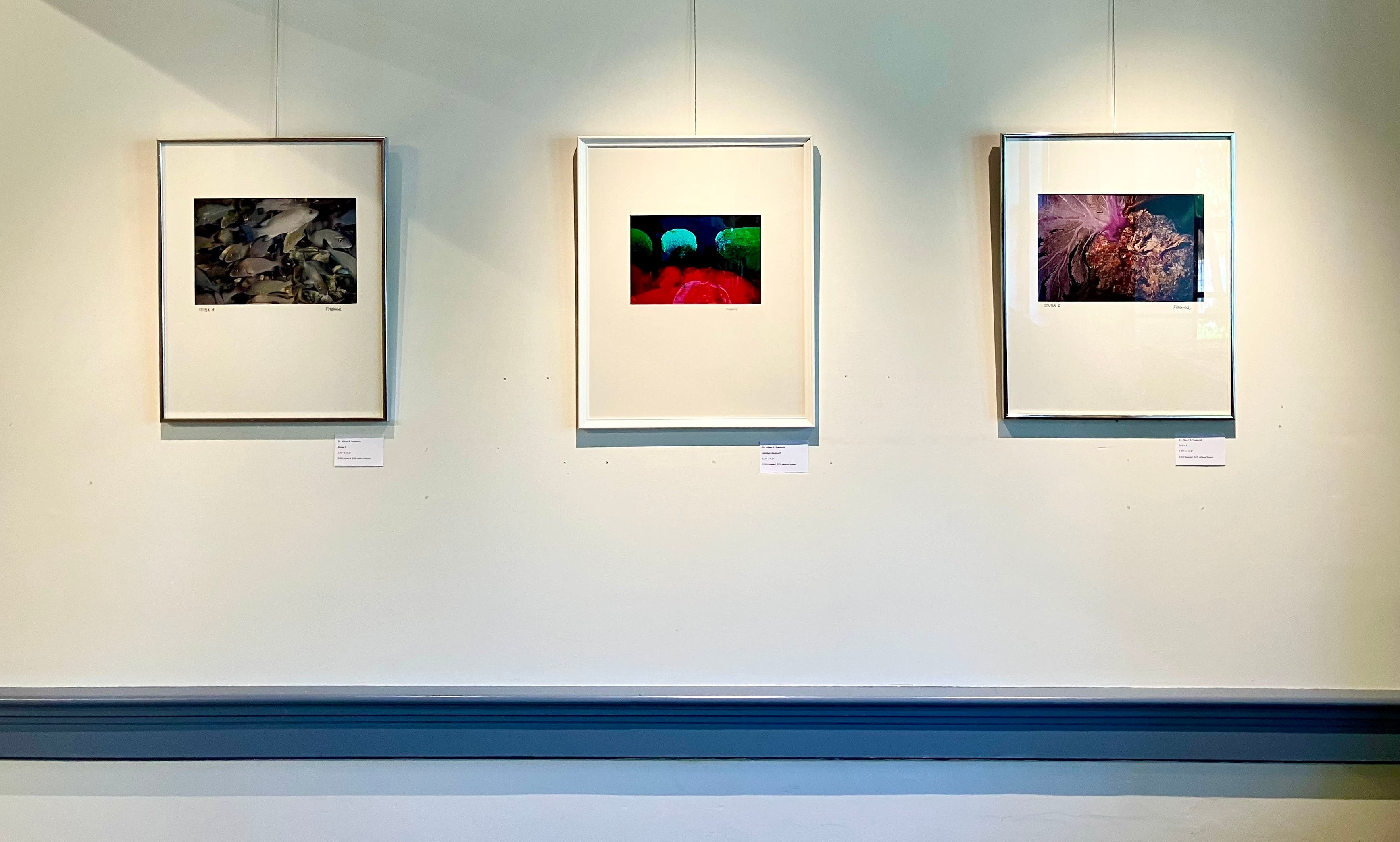 Reception for Dr. Albert R. Frederick: A Retrospective