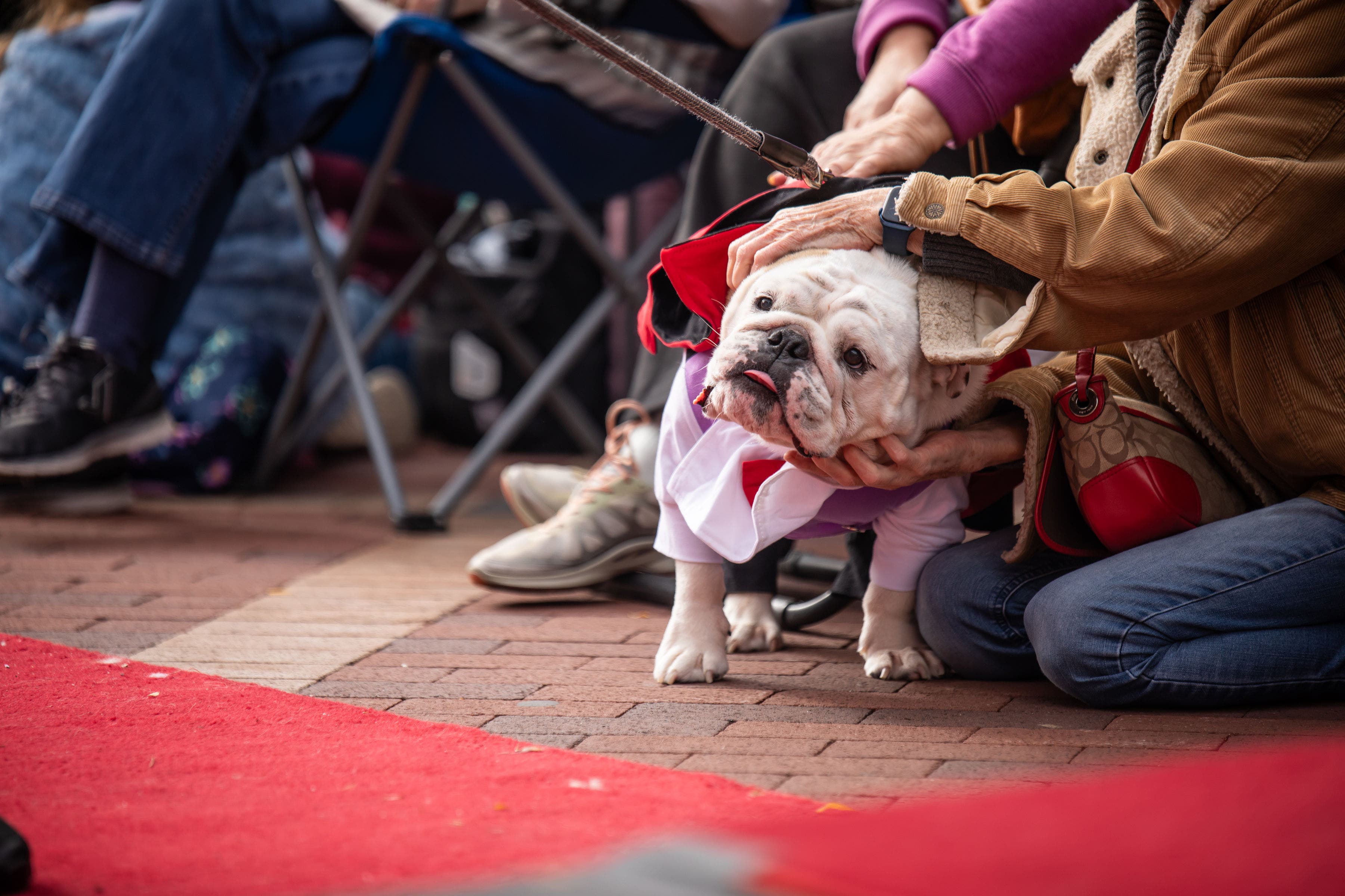 Howl'ween Dog Costume Contest