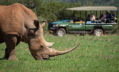 AZ Trails Travel LIVE Presentation with African Travel Inc.